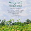 金银花花茶25g*2【产地直发】@妈妈农场 商品缩略图1