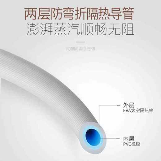 德国荣芝高功率立式蒸汽挂烫机  B52626 商品图2