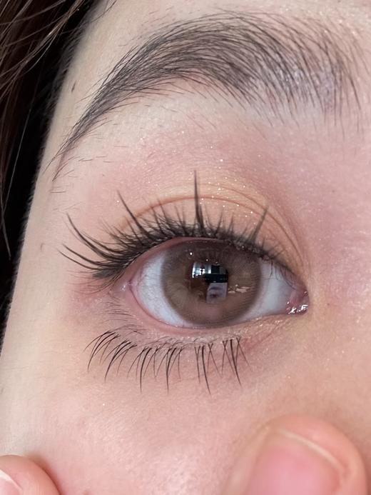 Sugarplum糖豆家-海棠岛 商品图1