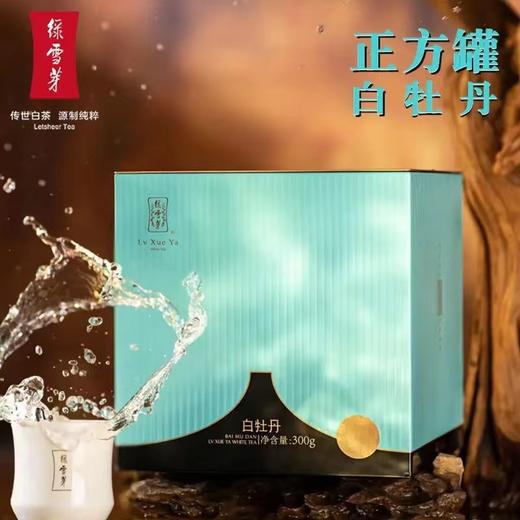 绿雪芽正方罐白牡丹 商品图0