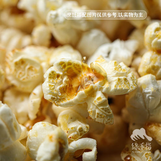 生态爆米花玉米粒（爆裂玉米） | 合作生产*Ecological  Burst grain corn |  Partner Production 商品图4