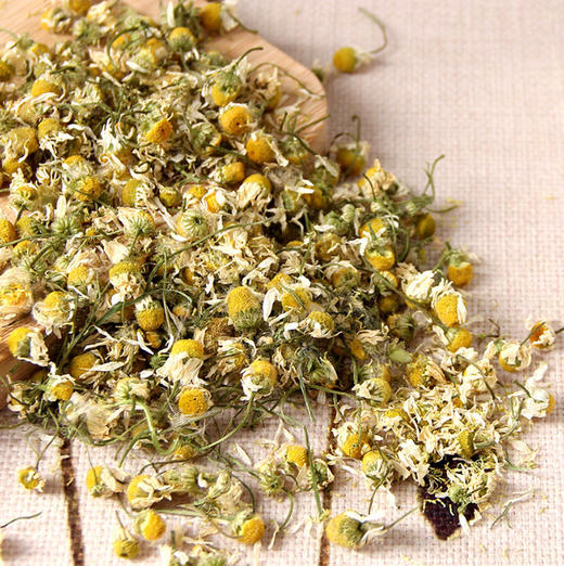 洋甘菊 500g 商品图2