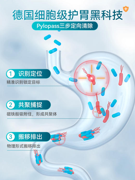 【保税仓】PURMEO帕米奥 养胃益生菌护胃胶囊 30粒/盒（有效期至26年7月） 商品图1