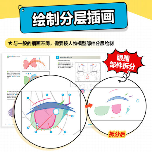 Live2D基础入门教程 二维动态人物制作(乃树坂串绪) 商品图3