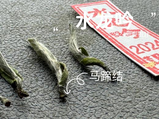 【2024春茶来了】野性十足、野劲十足的2024荒野银针来了，雪后的白茶更甜，天生天养的荒野白茶就更甜了 商品图6