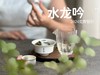 【2024春茶来了】野性十足、野劲十足的2024荒野银针来了，雪后的白茶更甜，天生天养的荒野白茶就更甜了 商品缩略图12