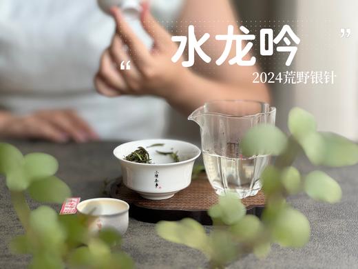 【2024春茶来了】野性十足、野劲十足的2024荒野银针来了，雪后的白茶更甜，天生天养的荒野白茶就更甜了 商品图12