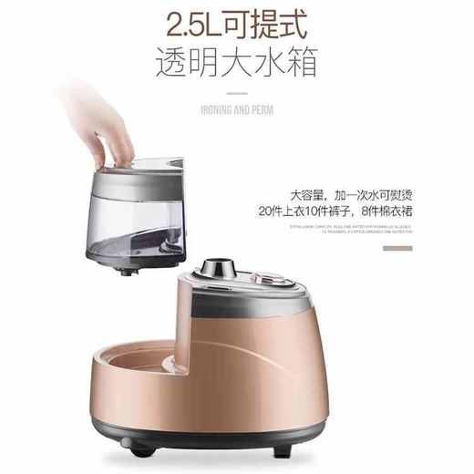 德国荣芝高功率立式蒸汽挂烫机  B52626 商品图4