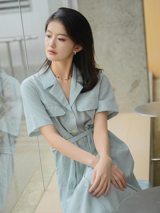 暗纹提花翻领连衣裙FCE2DRS254 商品图9