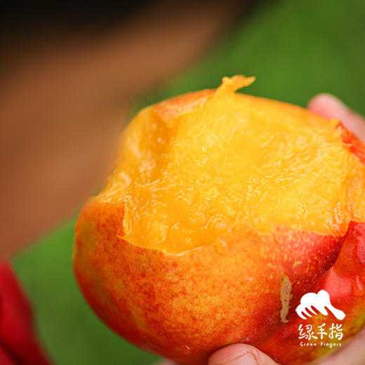 生态黄肉大油桃（中油金铭） | 合作生产 *Eco-nectarine | Partner Production 商品图5