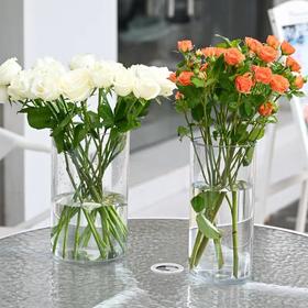 【上新】直筒圆形亚克力养花桶（超多规格）