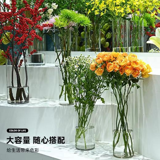 【上新】直筒圆形亚克力养花桶（超多规格） 商品图6