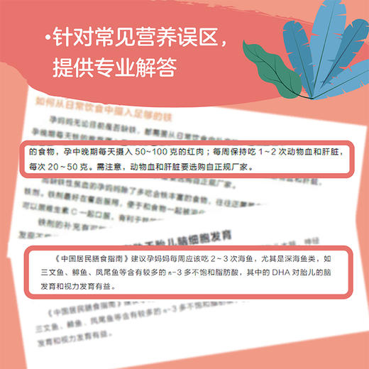 孕期营养每周计划 商品图5