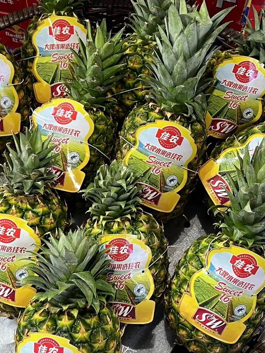 佳农进口凤梨（2斤左右） 商品图0