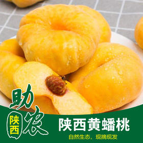 【陕西】黄蟠桃10斤（自然熟，现摘现发）