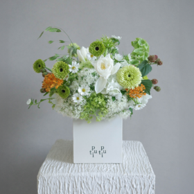 青杏话梅 Apricot and Plum