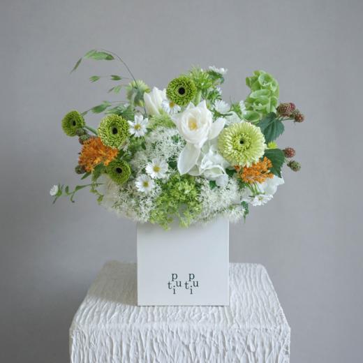 青杏话梅 Apricot and Plum 商品图0