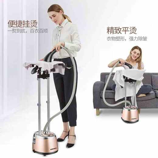 德国荣芝高功率立式蒸汽挂烫机  B52626 商品图3