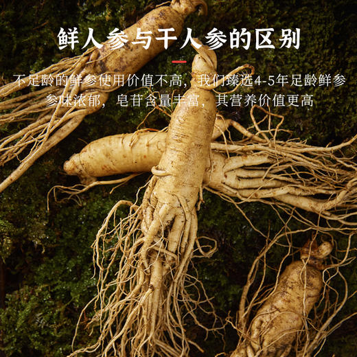 【天道】鲜参蜜片65g/盒（4罐/盒） 商品图3