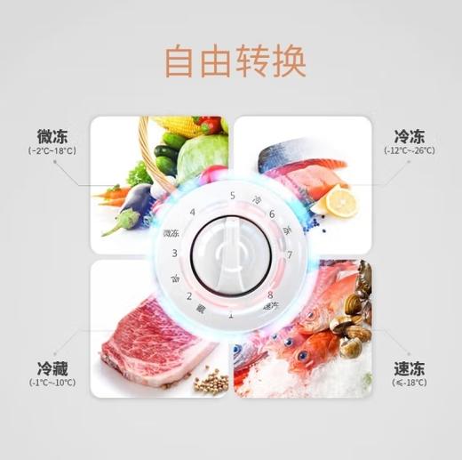 容声（Ronshen）冷柜家用(202790)冷藏冷冻双多温区可转换冰柜立式/卧式小冰柜商用冷冻柜两用容声冰柜 BD/BC-100MH--AFL49 100L 商品图1