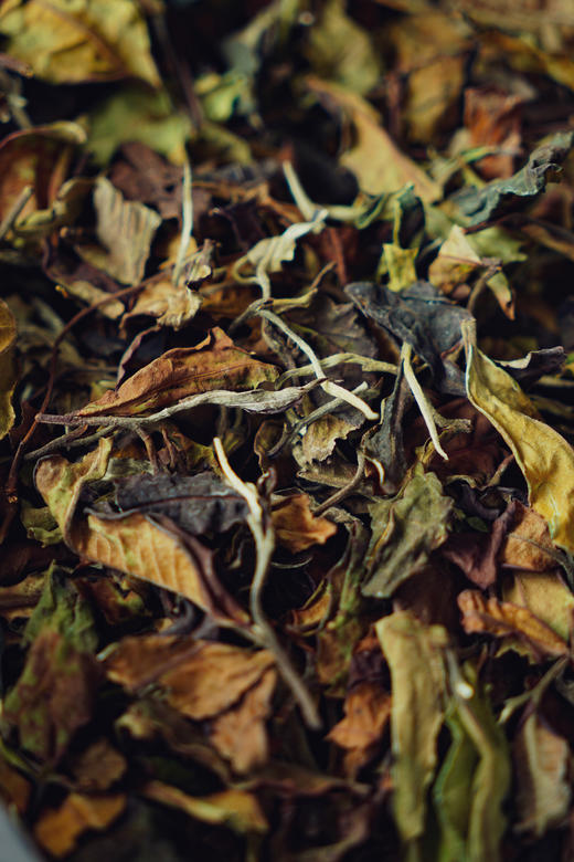 【刮风寨古树白茶】仙女般柔甜，一口就勾了魂！ 商品图8