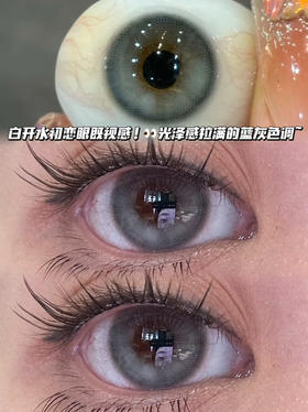 butterfly 蝴蝶嘭嘭蓝灰「含硅水凝胶」年抛型