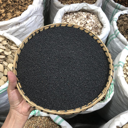 王不留行子    生颗粒 商品图0