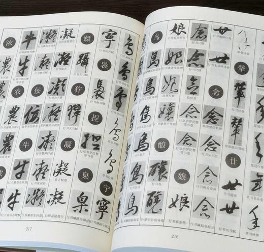 中国行草书鉴定字典大系：
 
《王羲之·王献之行草书字典》
《唐名家行草书字典》
《宋四家行草书字典》
《鲜于枢·赵孟頫行草书字典》
《祝允明·陈淳行 商品图7