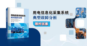 2024年第21期重点书推荐《用电信息采集系统典型故障分析 》