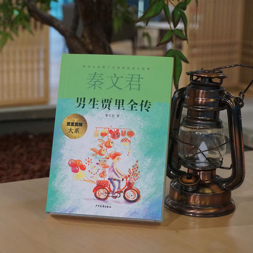 男生贾里全传 商品图1