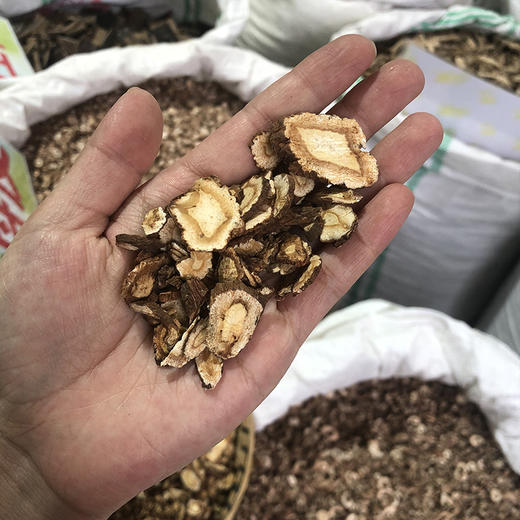 前胡 质软，香气浓郁，有黄棕色油点中药材 商品图3