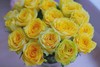 黄玫瑰的故事【世界在我面前，指向我任何想去的地方。】简小姐精选明媚黄色玫瑰 黄玫瑰10枝 顺丰空运直发 2件包邮 商品缩略图7