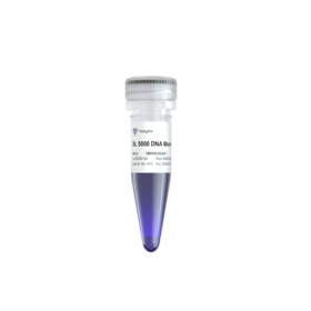 DL5000 DNA Marker