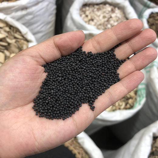 王不留行子    生颗粒 商品图3