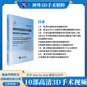神经外科名家经典3D手术精粹·脑血管畸形及动脉瘤疾病分册（U盘）王硕