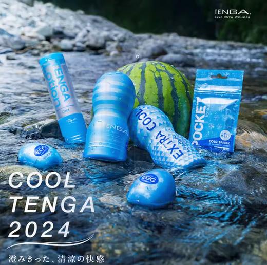 TENGA典雅日本进口 飞机杯男用自尉器便捷式撸撸杯男人专用性用品 商品图0