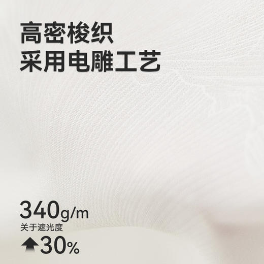 【简一纱】 金蝉新款抗菌窗纱不易勾丝抗菌透光不透人纱帘 商品图2