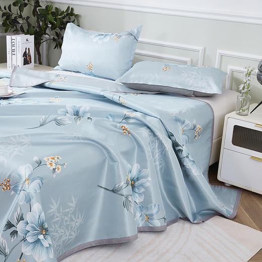 红蜻蜓 家纺夏天凉席冰丝席三件套单双人通用可机洗席子夏季宿舍用-竹影 席子/230*250cm 商品图2