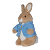 英国 比得兔小兔毛公仔 PeterRabbit 毛绒安抚玩具可爱卡通玩偶礼物25cm（手感更佳） 商品缩略图3