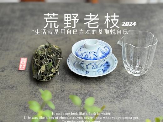【2024春茶来了】2024荒野老枝，一款极其稀缺的特制荒野茶，今年披着白牡丹的外衣，品相有史以来zui高！ 商品图6