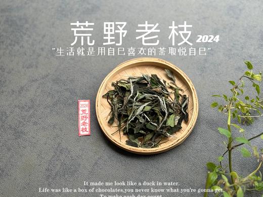【2024春茶来了】2024荒野老枝，一款极其稀缺的特制荒野茶，今年披着白牡丹的外衣，品相有史以来zui高！ 商品图1