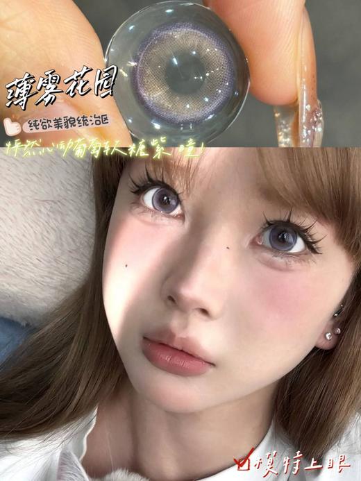 SugarPlum 薄雾花园 硅水凝胶（年抛型） 商品图0