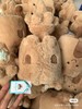 梦中情堡jellycat 城堡玩偶 商品缩略图7