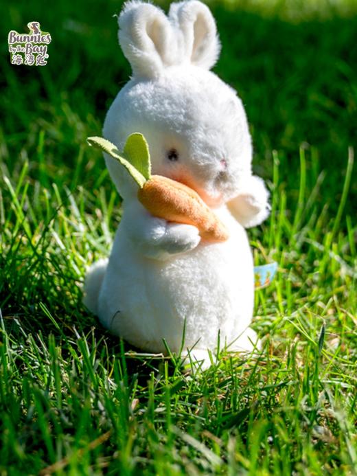 海湾兔 兔子白色小经典礼盒 兔子玩偶毛绒玩具公仔娃娃毕业礼物生日礼物女抱萝卜小兔 商品图1