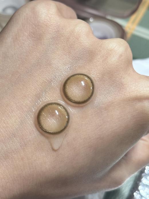 Leenscolor日抛 ·小梨糕  14.0mm白狮参考着色中大直径｜日抛10片装 商品图1