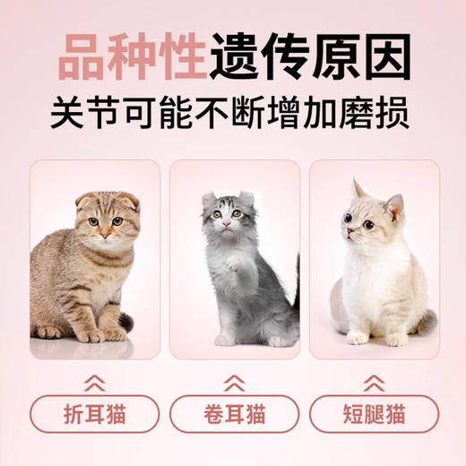 麦德氏绿贻贝关节安猫咪关节宝软骨素关节康150g 商品图4