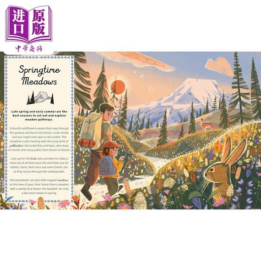 【中商原版】山行 Martin Stanev Hike It 英文原版进口 儿童科普绘本 小初文学 户外活动图画书徒步旅行 精装精品绘本7岁以上 商品图4