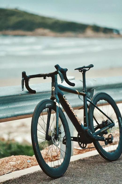 新品预定丨年度旗舰VAPOR电助力公路车定金 商品图2