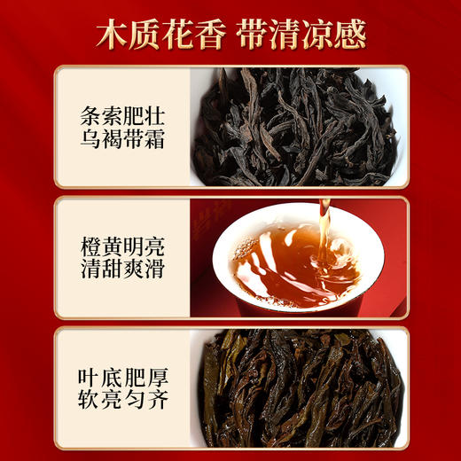 岩语 参赛茶礼盒装 特级大红袍水仙肉桂茶叶正宗武夷岩茶送礼60g 商品图5