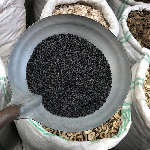 王不留行子    生颗粒 商品图4